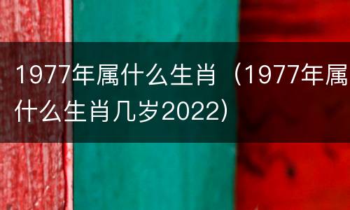 1977年属什么生肖（1977年属什么生肖几岁2022）