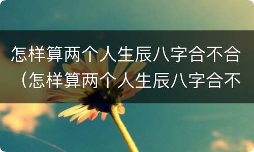怎样算两个人生辰八字合不合（怎样算两个人生辰八字合不合婚）