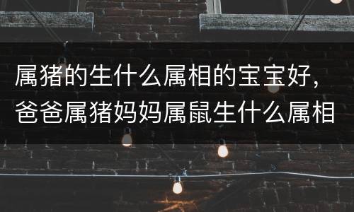 属猪的生什么属相的宝宝好，爸爸属猪妈妈属鼠生什么属相好，属鼠