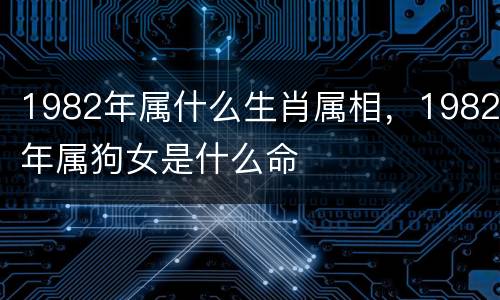 1982年属什么生肖属相，1982年属狗女是什么命