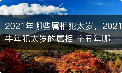 2021年哪些属相犯太岁，2021牛年犯太岁的属相 辛丑年哪