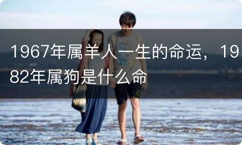 1967年属羊人一生的命运，1982年属狗是什么命