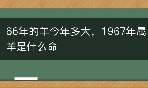 66年的羊今年多大，1967年属羊是什么命