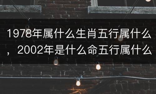 1978年属什么生肖五行属什么，2002年是什么命五行属什么生肖