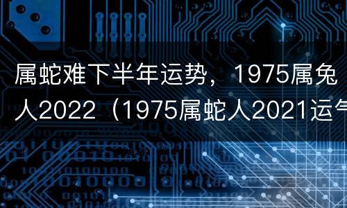 属蛇难下半年运势，1975属兔人2022（1975属蛇人2021运气）