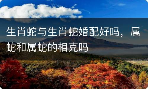 生肖蛇与生肖蛇婚配好吗，属蛇和属蛇的相克吗