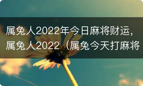 属兔人2022年今日麻将财运，属兔人2022（属兔今天打麻将财运2021）