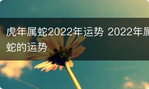 虎年属蛇2022年运势 2022年属蛇的运势