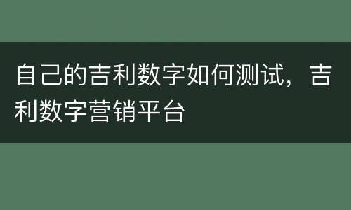 自己的吉利数字如何测试，吉利数字营销平台