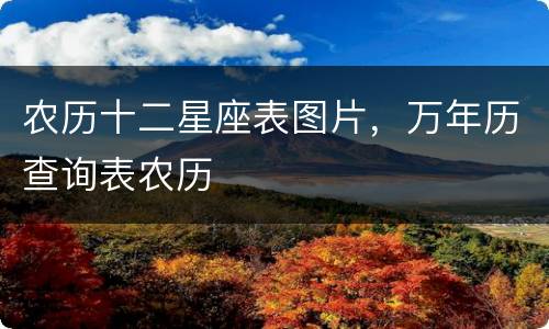 农历十二星座表图片，万年历查询表农历