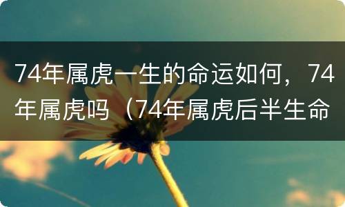 74年属虎一生的命运如何，74年属虎吗（74年属虎后半生命运）