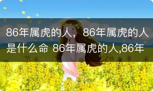 86年属虎的人，86年属虎的人是什么命 86年属虎的人,86年属虎的人是什么命运