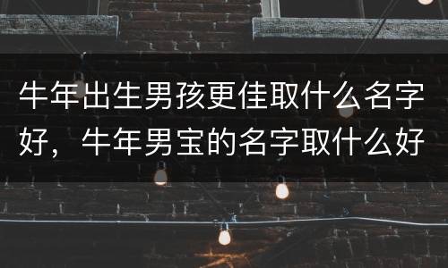 牛年出生男孩更佳取什么名字好，牛年男宝的名字取什么好呢
