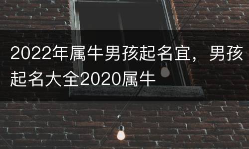 2022年属牛男孩起名宜，男孩起名大全2020属牛