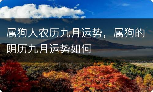 属狗人农历九月运势，属狗的阴历九月运势如何