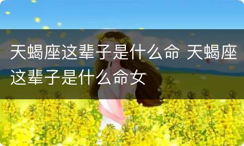 天蝎座这辈子是什么命 天蝎座这辈子是什么命女