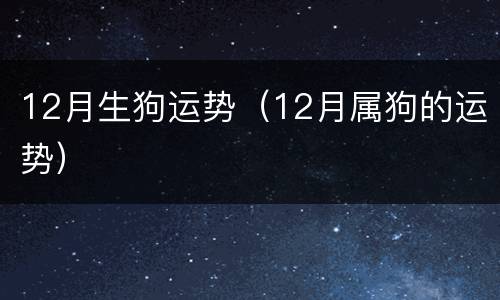 12月生狗运势（12月属狗的运势）
