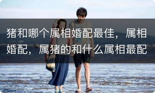 猪和哪个属相婚配最佳，属相婚配，属猪的和什么属相最配