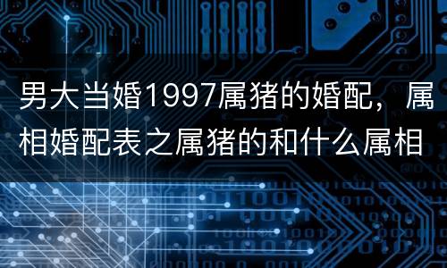 男大当婚1997属猪的婚配，属相婚配表之属猪的和什么属相最配