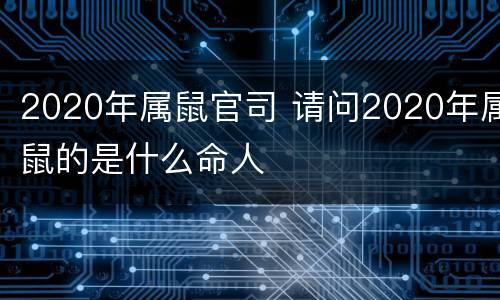 2020年属鼠官司 请问2020年属鼠的是什么命人