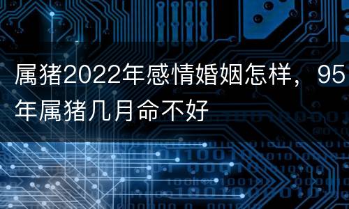 属猪2022年感情婚姻怎样，95年属猪几月命不好
