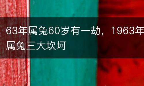 63年属兔60岁有一劫，1963年属兔三大坎坷