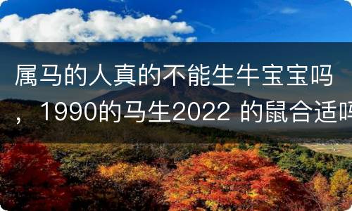 属马的人真的不能生牛宝宝吗，1990的马生2022 的鼠合适吗