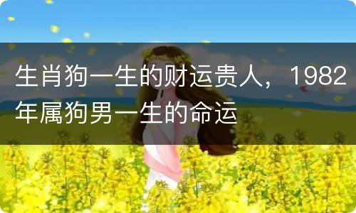 生肖狗一生的财运贵人，1982年属狗男一生的命运