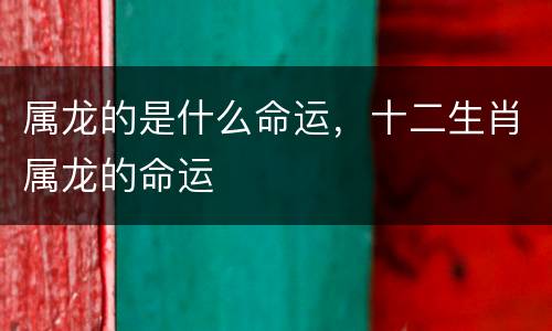属龙的是什么命运，十二生肖属龙的命运