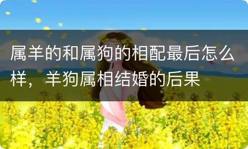 属羊的和属狗的相配最后怎么样，羊狗属相结婚的后果