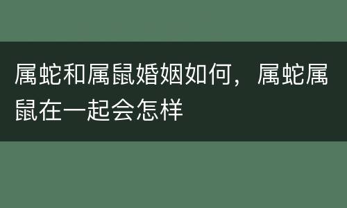 属蛇和属鼠婚姻如何，属蛇属鼠在一起会怎样