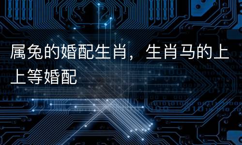 属兔的婚配生肖，生肖马的上上等婚配