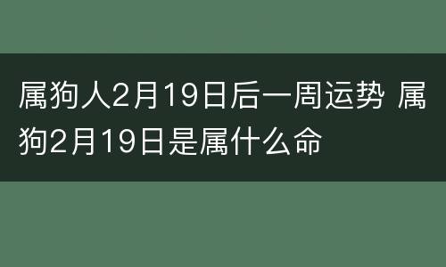 属狗人2月19日后一周运势 属狗2月19日是属什么命