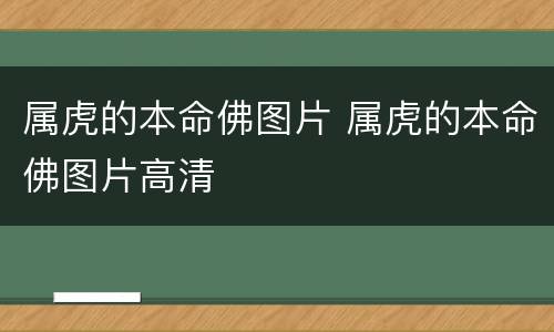 属虎的本命佛图片 属虎的本命佛图片高清