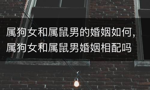 属狗女和属鼠男的婚姻如何，属狗女和属鼠男婚姻相配吗