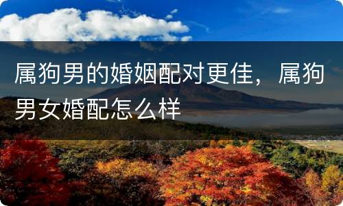属狗男的婚姻配对更佳，属狗男女婚配怎么样