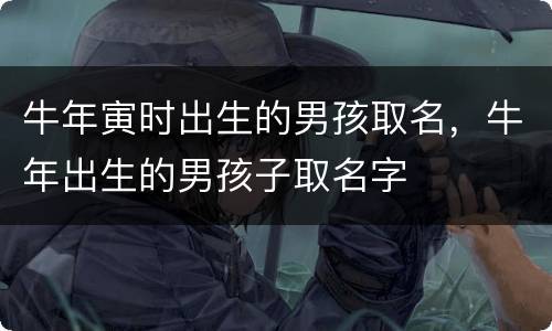牛年寅时出生的男孩取名，牛年出生的男孩子取名字