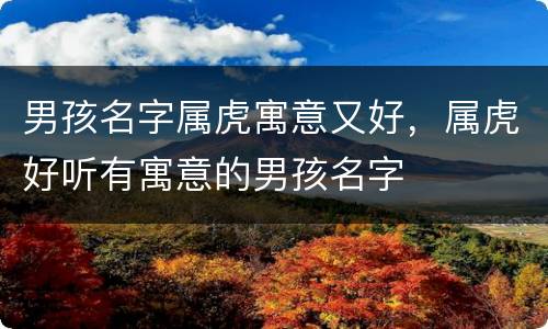 男孩名字属虎寓意又好，属虎好听有寓意的男孩名字