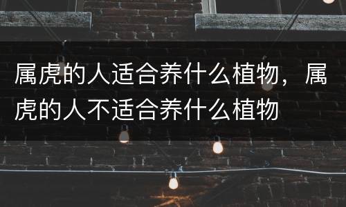 属虎的人适合养什么植物，属虎的人不适合养什么植物