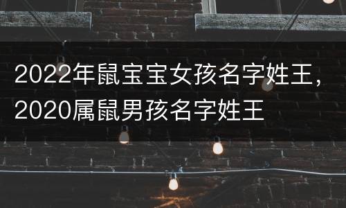 2022年鼠宝宝女孩名字姓王，2020属鼠男孩名字姓王