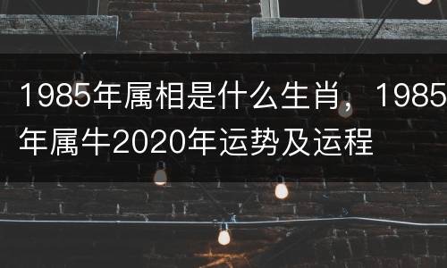 1985年属相是什么生肖，1985年属牛2020年运势及运程