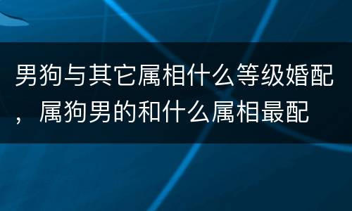 男狗与其它属相什么等级婚配，属狗男的和什么属相最配