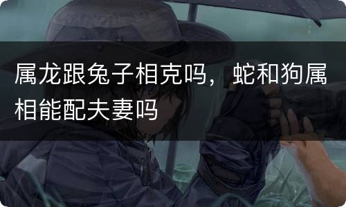 属龙跟兔子相克吗，蛇和狗属相能配夫妻吗
