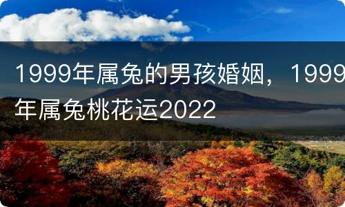 1999年属兔的男孩婚姻，1999年属兔桃花运2022