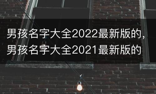 男孩名字大全2022最新版的，男孩名字大全2021最新版的