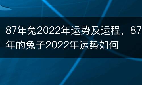 87年兔2022年运势及运程，87年的兔子2022年运势如何