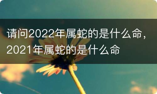 请问2022年属蛇的是什么命，2021年属蛇的是什么命