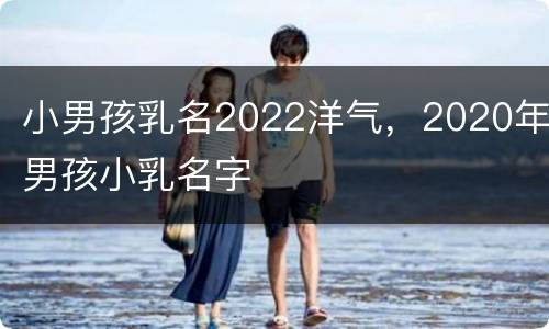 小男孩乳名2022洋气，2020年男孩小乳名字
