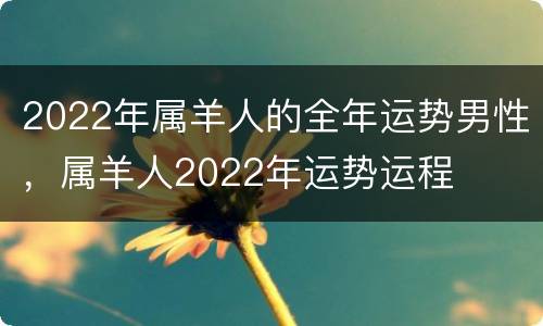 2022年属羊人的全年运势男性，属羊人2022年运势运程