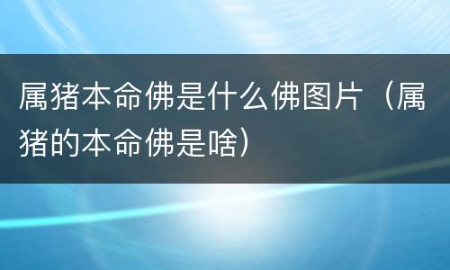 属猪本命佛是什么佛图片（属猪的本命佛是啥）